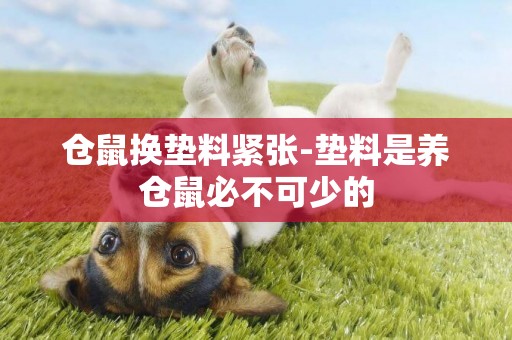 倉鼠換墊料緊張-墊料是養倉鼠必不可少的