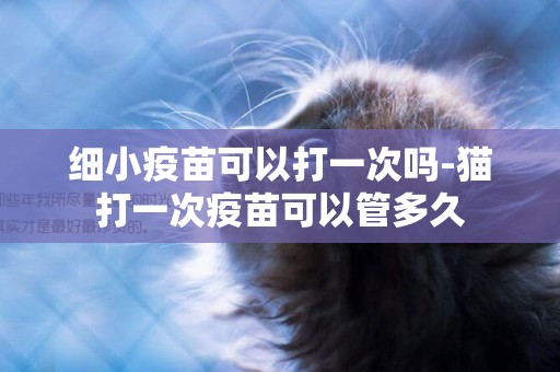 細小疫苗可以打一次嗎-貓打一次疫苗可以管多久