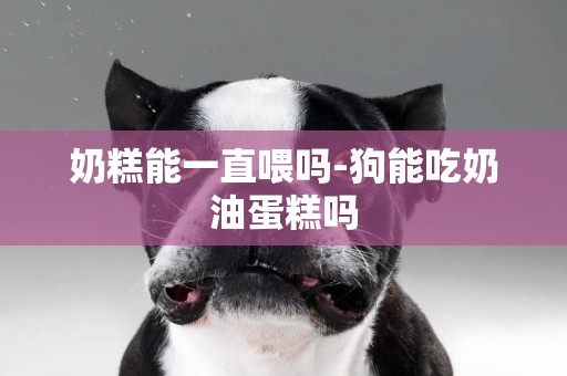 奶糕能一直喂嗎-狗能吃奶油蛋糕嗎