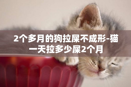 2個多月的狗拉屎不成形-貓一天拉多少屎2個月