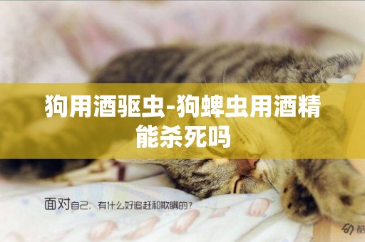 狗用酒驅蟲-狗蜱蟲用酒精能殺死嗎