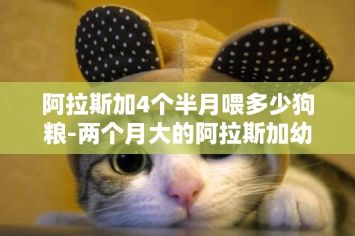 阿拉斯加4個半月喂多少狗糧-兩個月大的阿拉斯加幼犬一頓喂多少狗糧