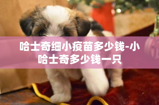 哈士奇細小疫苗多少錢-小哈士奇多少錢一只