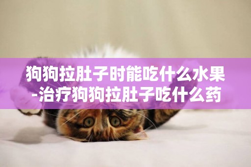 狗狗拉肚子時能吃什么水果-治療狗狗拉肚子吃什么藥效果好