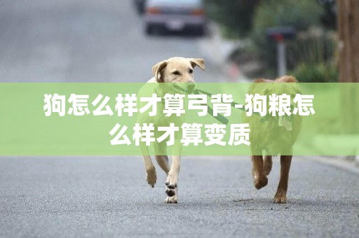 狗怎么樣才算弓背-狗糧怎么樣才算變質