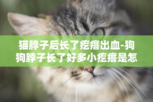 貓脖子后長了疙瘩出血-狗狗脖子長了好多小疙瘩是怎么回事