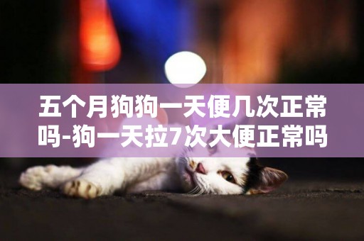 五個月狗狗一天便幾次正常嗎-狗一天拉7次大便正常嗎
