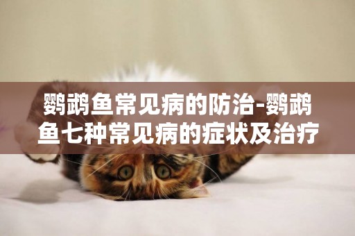 鸚鵡魚常見病的防治-鸚鵡魚七種常見病的癥狀及治療