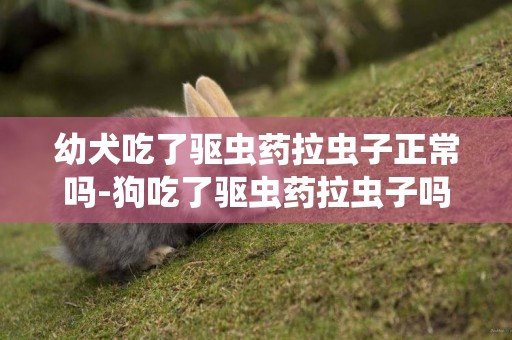 幼犬吃了驅蟲藥拉蟲子正常嗎-狗吃了驅蟲藥拉蟲子嗎