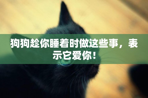 狗狗趁你睡著時做這些事，表示它愛你！