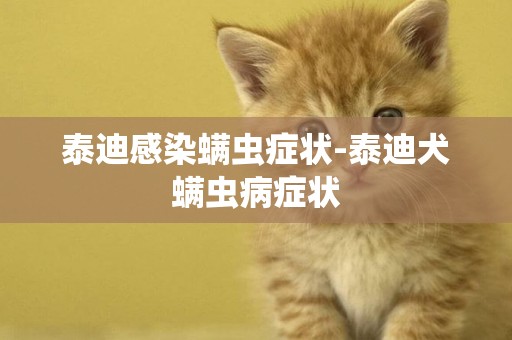 泰迪感染螨蟲癥狀-泰迪犬螨蟲病癥狀