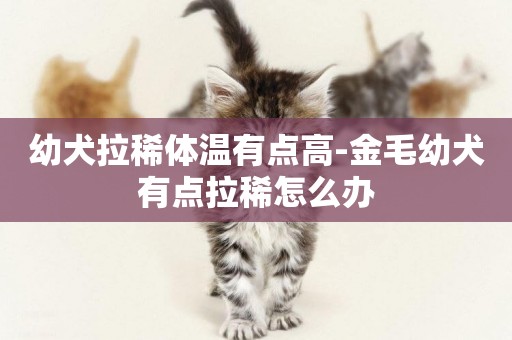 幼犬拉稀體溫有點高-金毛幼犬有點拉稀怎么辦