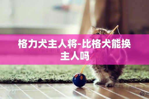 格力犬主人將-比格犬能換主人嗎