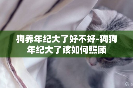 狗養年紀大了好不好-狗狗年紀大了該如何照顧