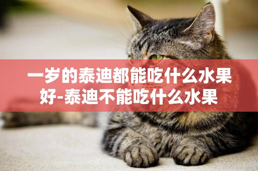 一歲的泰迪都能吃什么水果好-泰迪不能吃什么水果
