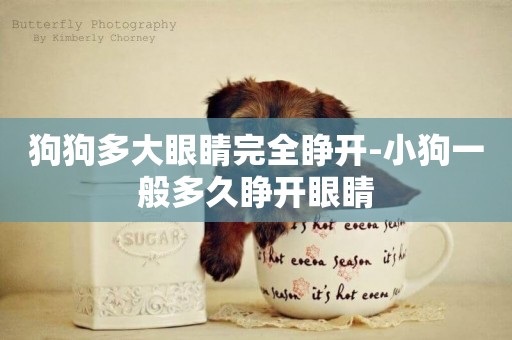 狗狗多大眼睛完全睜開-小狗一般多久睜開眼睛