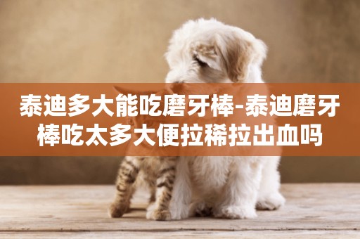 泰迪多大能吃磨牙棒-泰迪磨牙棒吃太多大便拉稀拉出血嗎