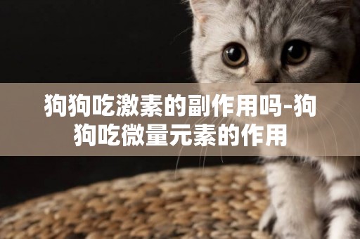 狗狗吃激素的副作用嗎-狗狗吃微量元素的作用