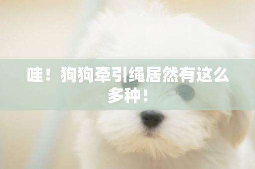 哇！狗狗牽引繩居然有這么多種！