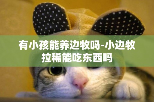 有小孩能養邊牧嗎-小邊牧拉稀能吃東西嗎