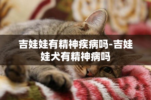 吉娃娃有精神疾病嗎-吉娃娃犬有精神病嗎