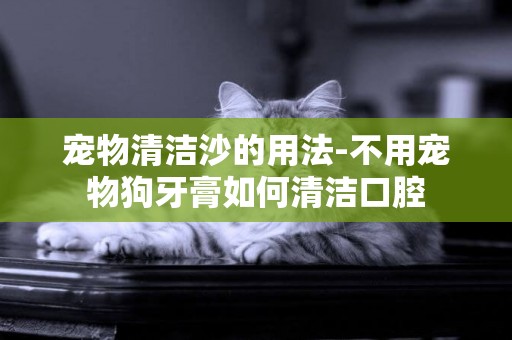 寵物清潔沙的用法-不用寵物狗牙膏如何清潔口腔