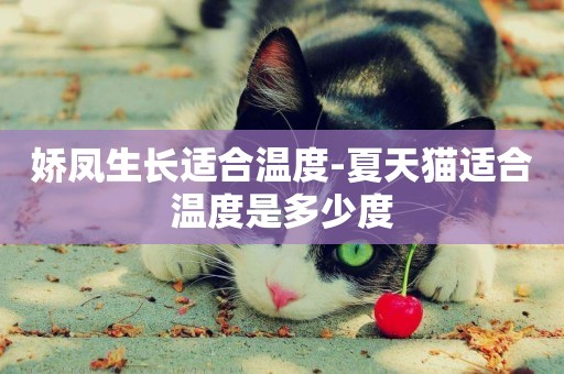 嬌鳳生長適合溫度-夏天貓適合溫度是多少度