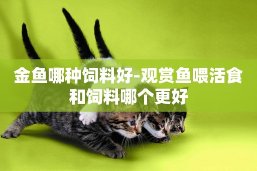金魚哪種飼料好-觀賞魚喂活食和飼料哪個更好