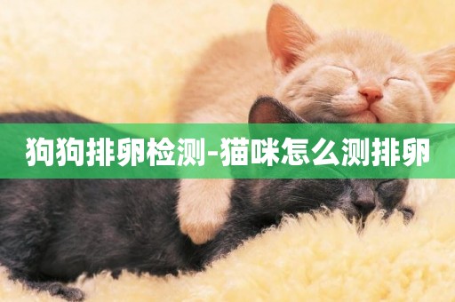 狗狗排卵檢測-貓咪怎么測排卵