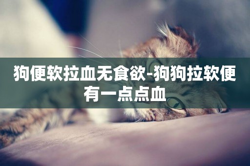 狗便軟拉血無食欲-狗狗拉軟便有一點點血