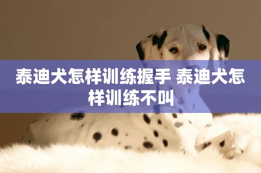 泰迪犬怎樣訓練握手 泰迪犬怎樣訓練不叫