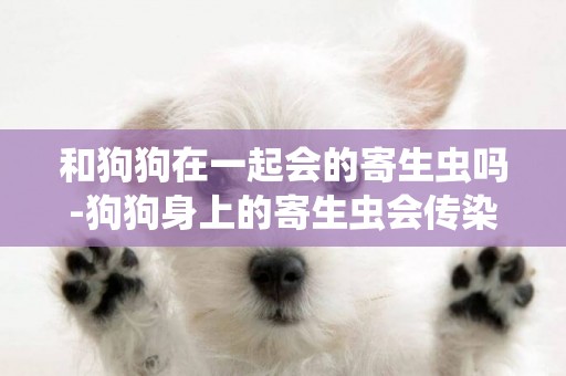 和狗狗在一起會的寄生蟲嗎-狗狗身上的寄生蟲會傳染給人嗎