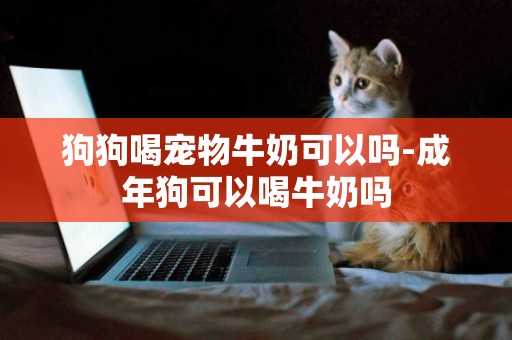 狗狗喝寵物牛奶可以嗎-成年狗可以喝牛奶嗎