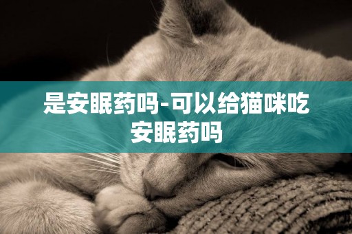是安眠藥嗎-可以給貓咪吃安眠藥嗎