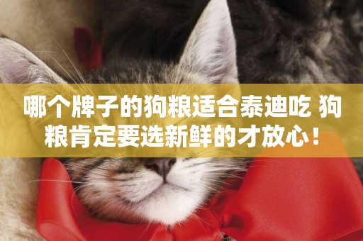 哪個牌子的狗糧適合泰迪吃 狗糧肯定要選新鮮的才放心！