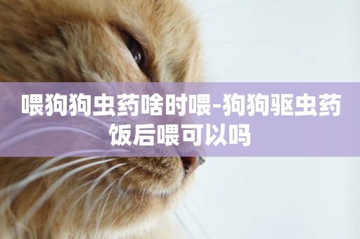 喂狗狗蟲藥啥時喂-狗狗驅蟲藥飯后喂可以嗎