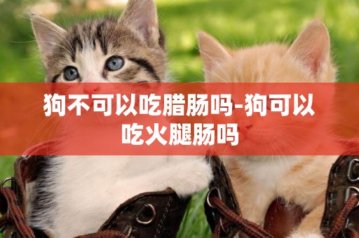 狗不可以吃臘腸嗎-狗可以吃火腿腸嗎
