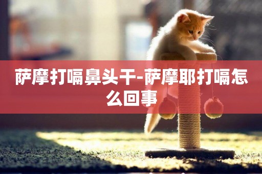 薩摩打嗝鼻頭干-薩摩耶打嗝怎么回事