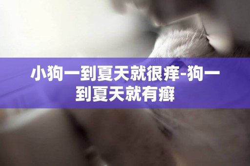 小狗一到夏天就很癢-狗一到夏天就有癬