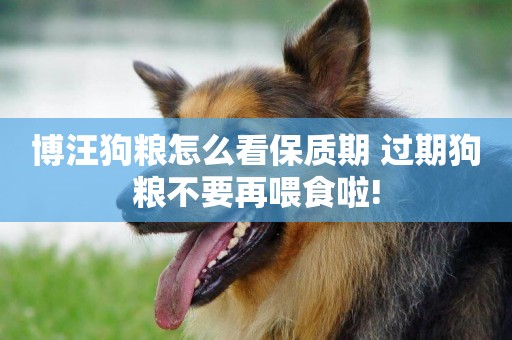 博汪狗糧怎么看保質期 過期狗糧不要再喂食啦!