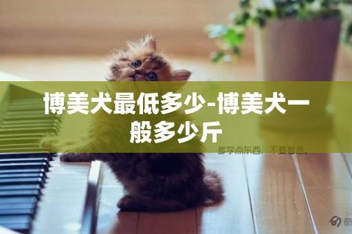博美犬最低多少-博美犬一般多少斤