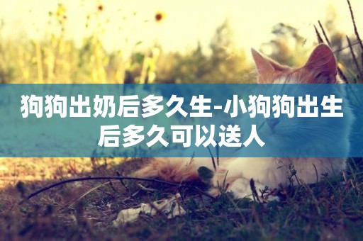 狗狗出奶后多久生-小狗狗出生后多久可以送人