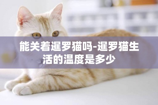 能關著暹羅貓嗎-暹羅貓生活的溫度是多少