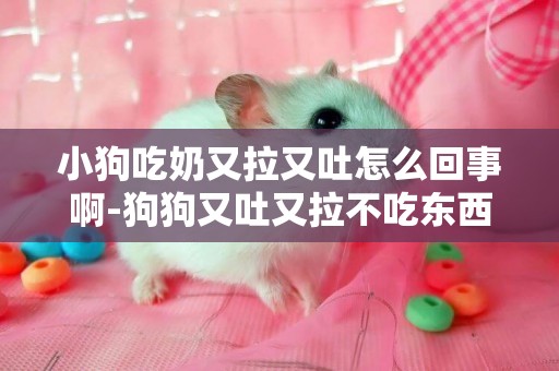 小狗吃奶又拉又吐怎么回事啊-狗狗又吐又拉不吃東西是怎么回事