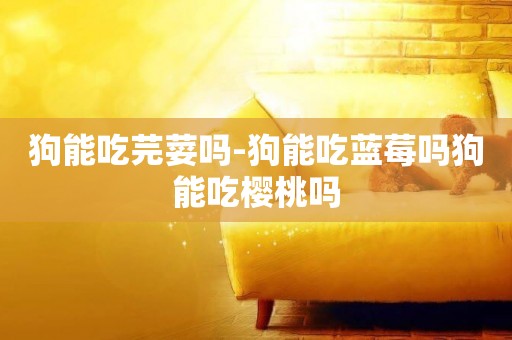 狗能吃芫荽嗎-狗能吃藍莓嗎狗能吃櫻桃嗎