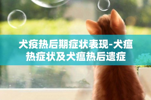 犬疫熱后期癥狀表現-犬瘟熱癥狀及犬瘟熱后遺癥