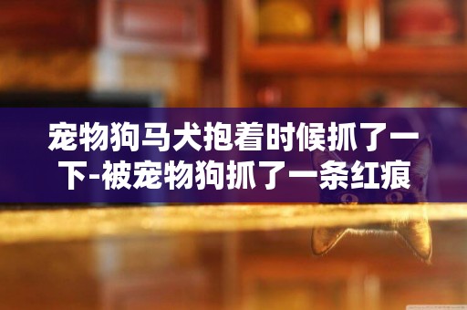 寵物狗馬犬抱著時候抓了一下-被寵物狗抓了一條紅痕