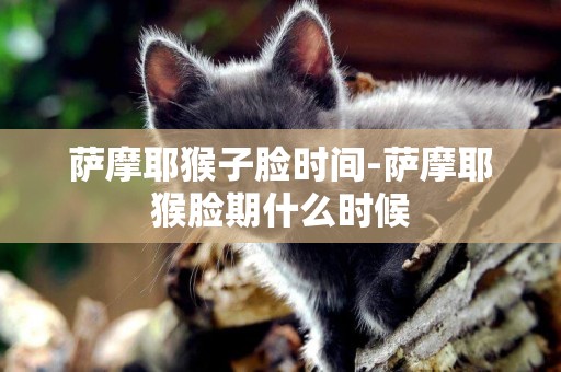 薩摩耶猴子臉時間-薩摩耶猴臉期什么時候