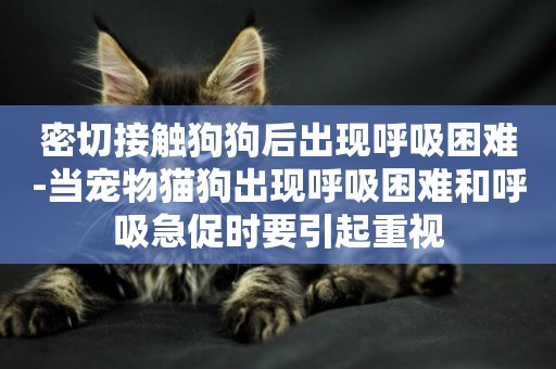 密切接觸狗狗后出現呼吸困難-當寵物貓狗出現呼吸困難和呼吸急促時要引起重視