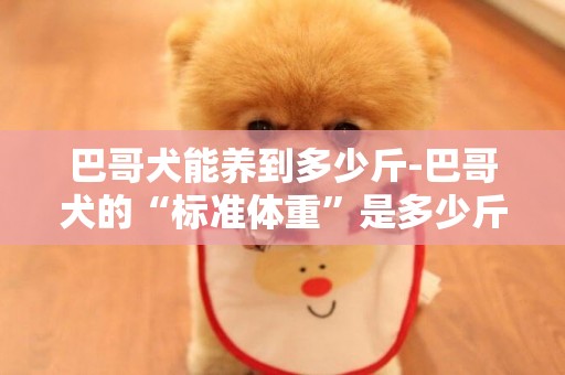 巴哥犬能養到多少斤-巴哥犬的“標準體重”是多少斤